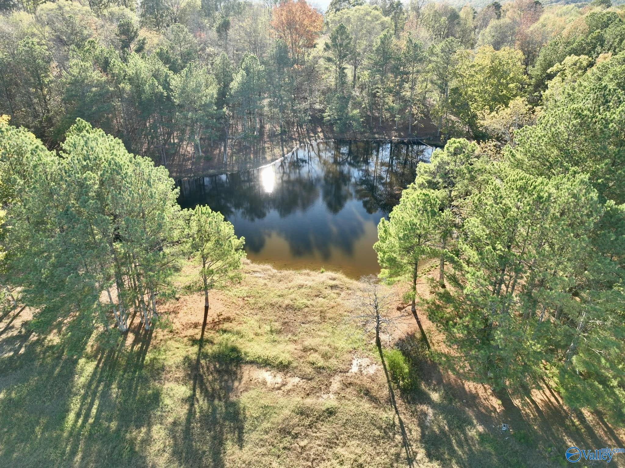 10+/- Acres Pleasant Hill Church Road, Boaz, Alabama image 2