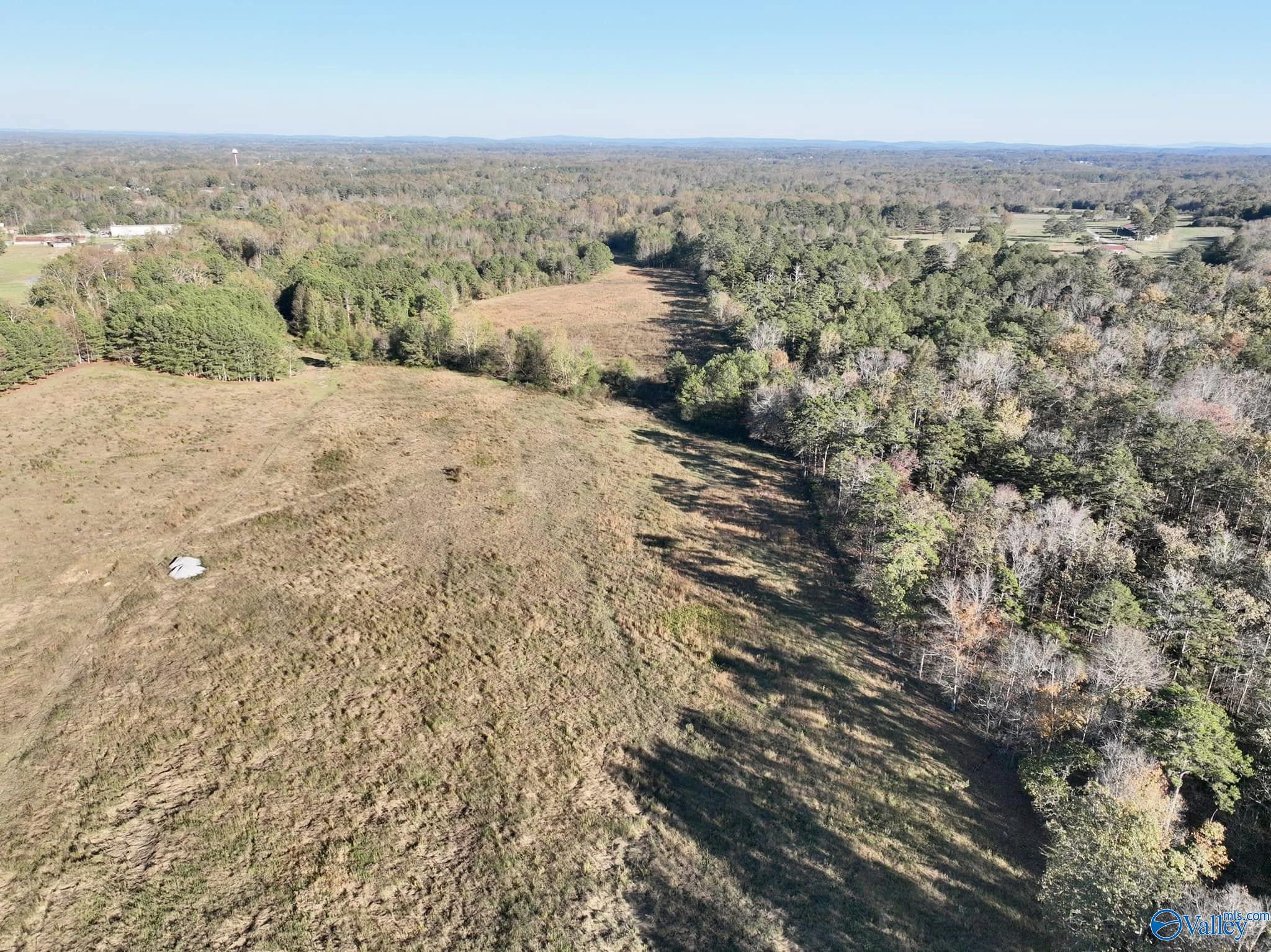 10+/- Acres Pleasant Hill Church Road, Boaz, Alabama image 5