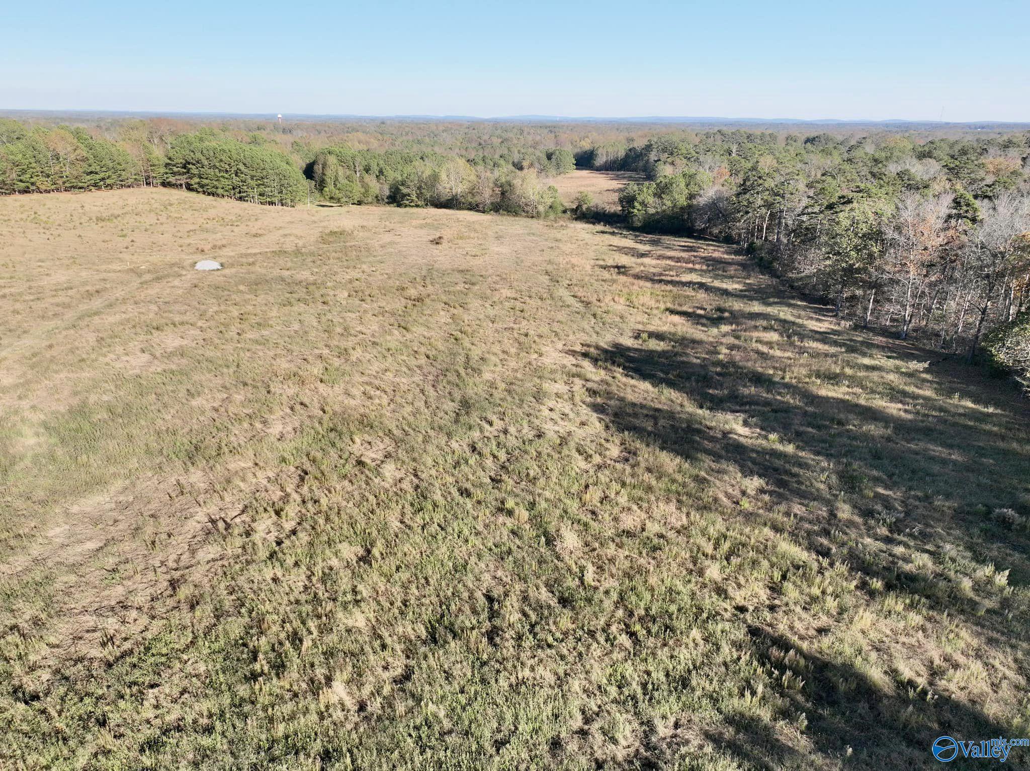 10+/- Acres Pleasant Hill Church Road, Boaz, Alabama image 1