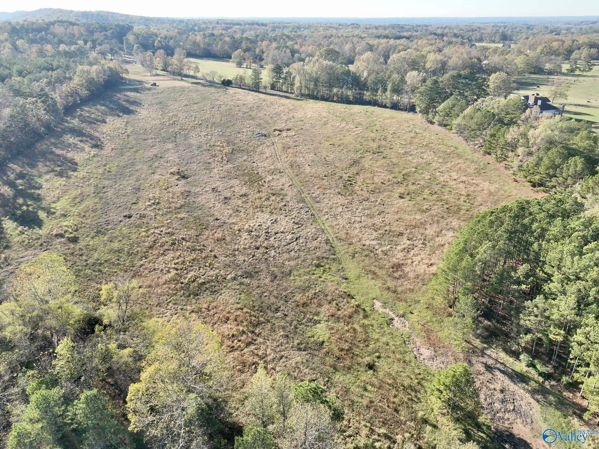 10+/- Acres Pleasant Hill Church Road, Boaz, Alabama image 9