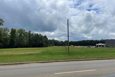 Vacant Land For Sale - 001 Steele Station Road<br/> Etowah County, Rainbow City, AL 35906
