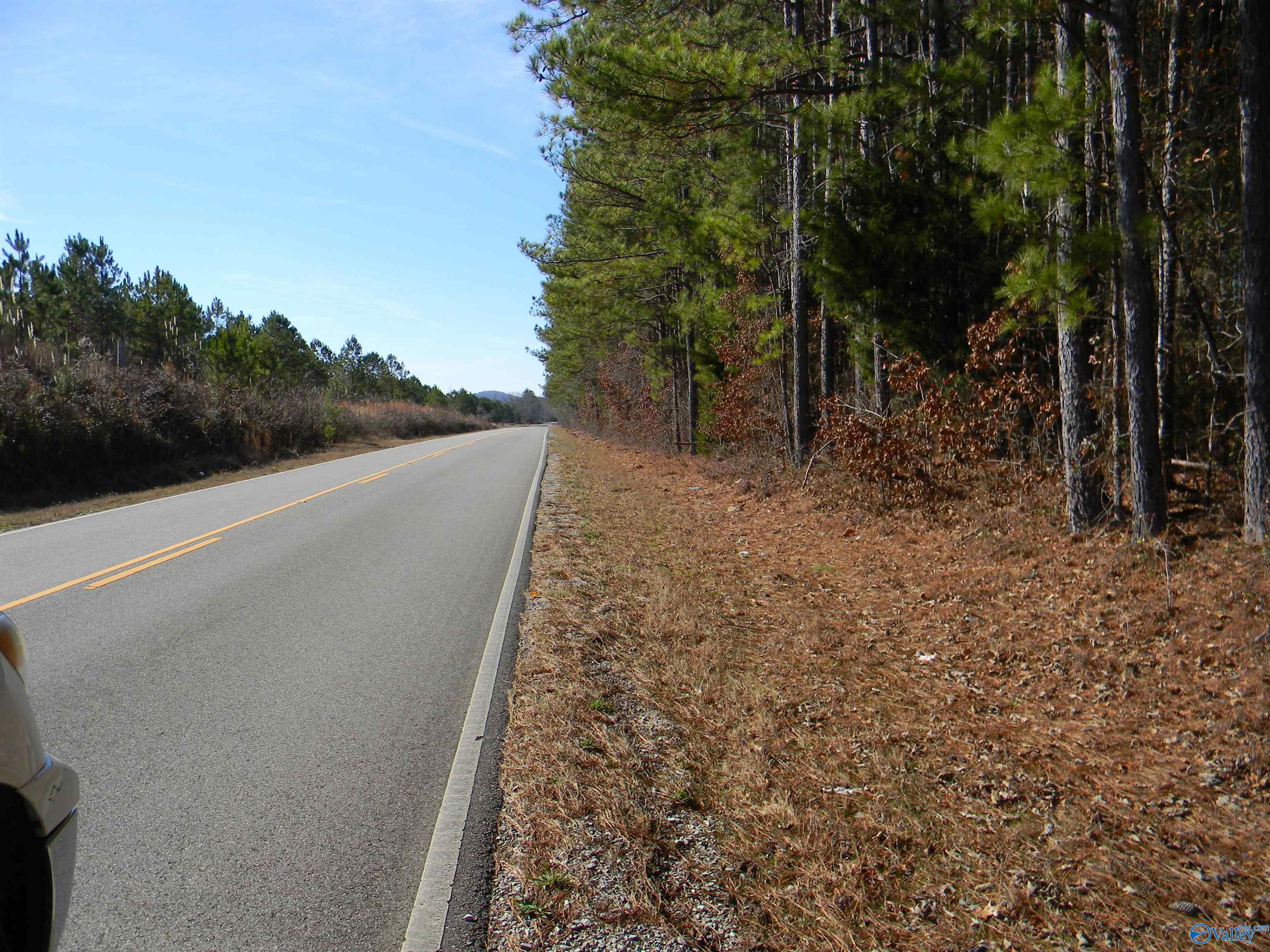 Track 6 & 7 County Road 41, Gaylesville, Alabama image 10