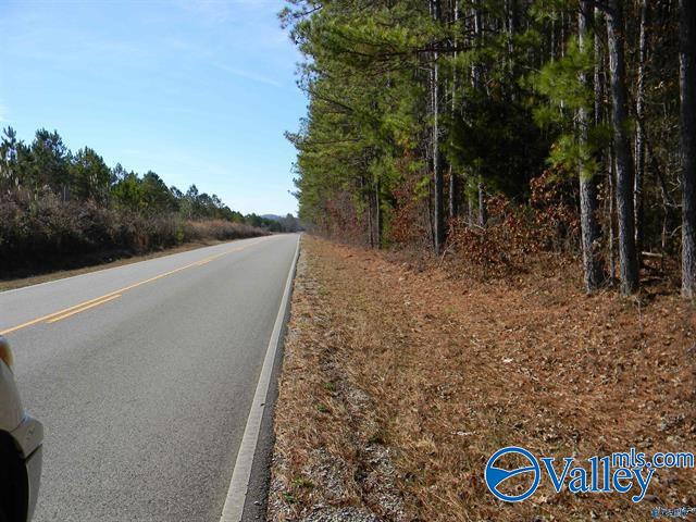 Track 6 & 7 County Road 41, Gaylesville, Alabama image 6