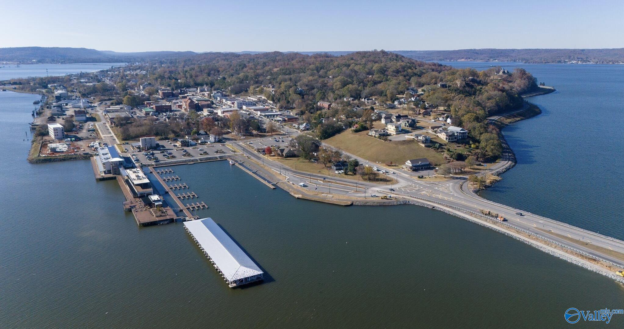 1302 Hillwood Drive Houses For Sale in Guntersville