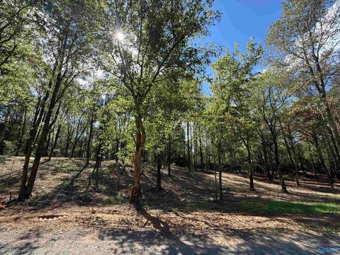 Homes For Sale - #12B County Road 1123<br/> Vinemont, AL 35179