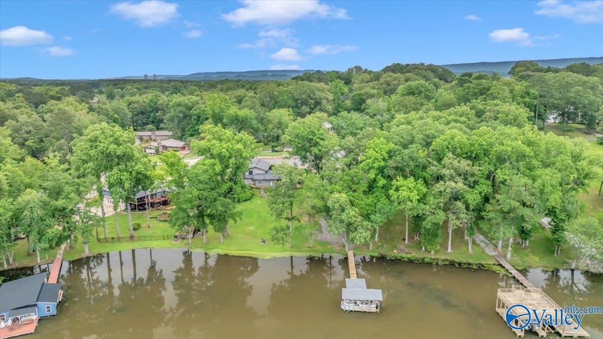 1802 Roseberry Drive, Scottsboro, Alabama image 1