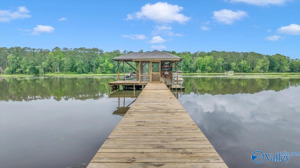 1802 Roseberry Drive, Scottsboro, Alabama image 4