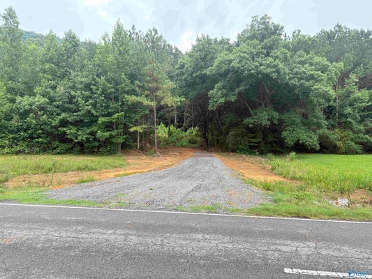 16679 STATE RTE 35, SCOTTSBORO, AL 35768 - Image a2f2b668c241719b5ea5f3c491d547fb/4258701985