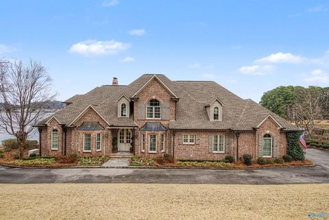 Photo of 2020 Wyeth Drive, Guntersville, AL 35976 (MLS # 21912417)