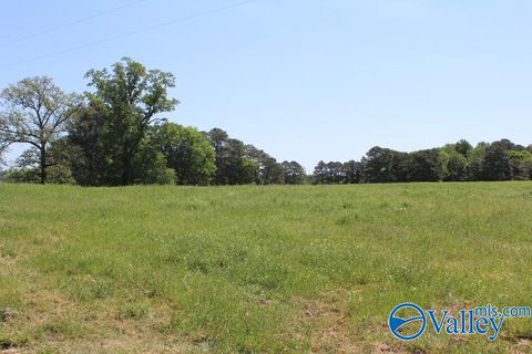 Vacant Land For Sale - 28.77 ACRES Cranford Road<br/> Arab, AL 35016
