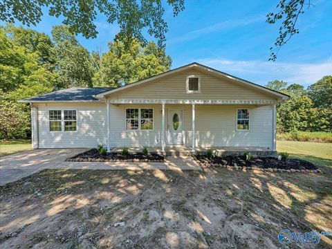 Photo of 28804 Brook Drive, Toney, AL 35773 (MLS # 21900776)