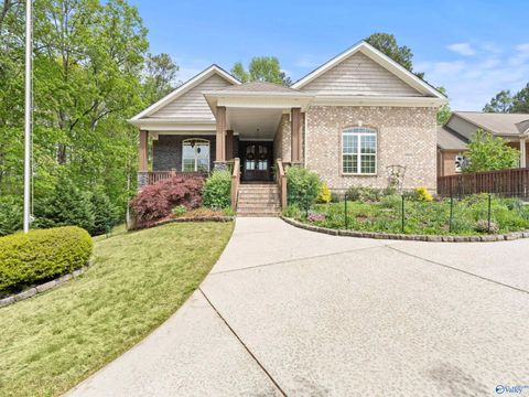 Homes For Sale - 13033 S Shawdee Road<br/> Huntsville, AL 35803