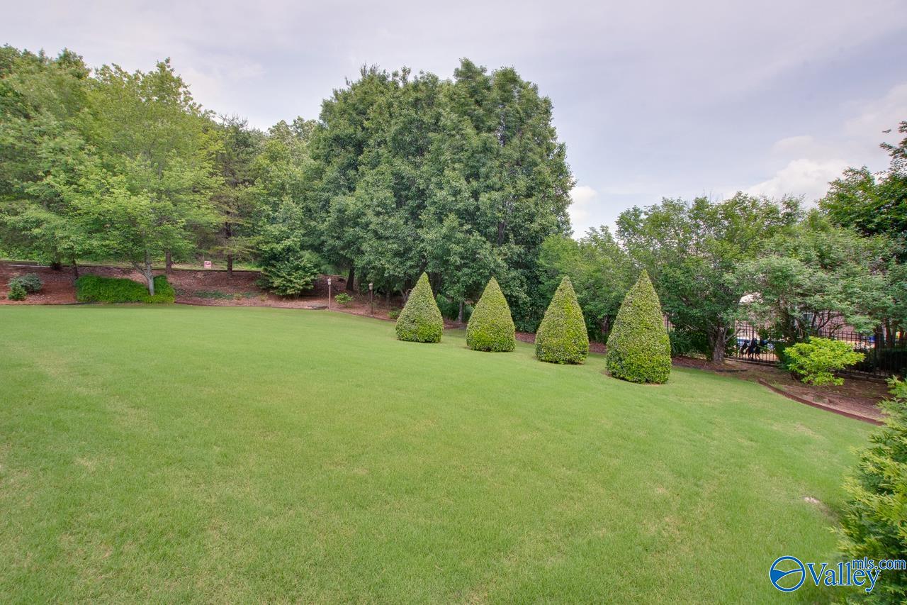 2701 Arbor Oak Drive, Owens Cross Roads, Alabama image 19
