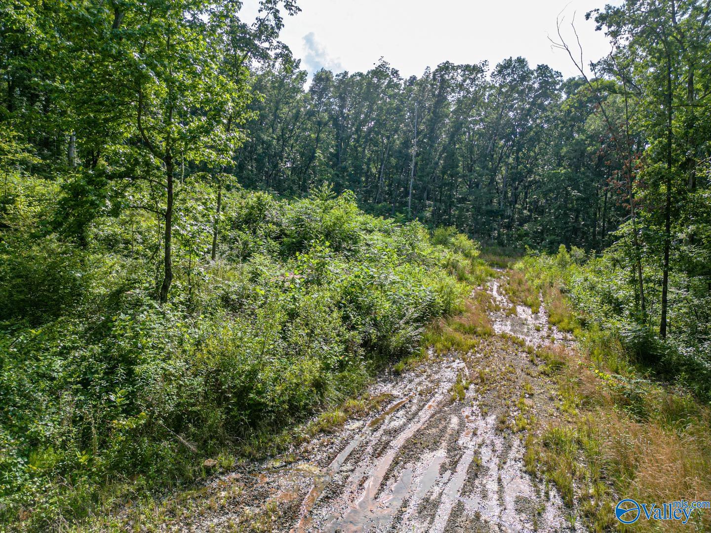 53 Price Mountain Drive, Decatur, Alabama image 39