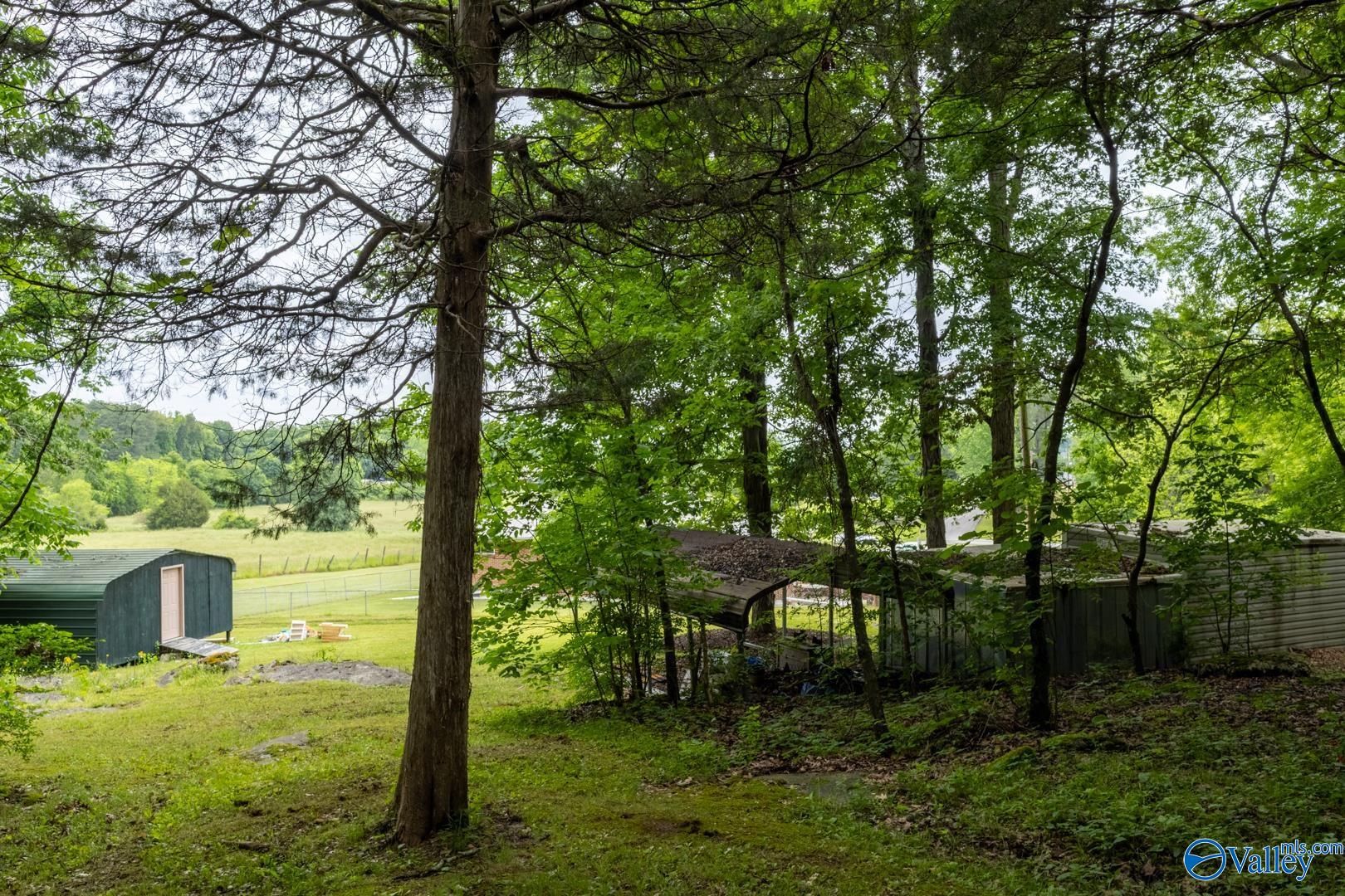53 Price Mountain Drive, Decatur, Alabama image 45