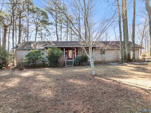 Photo of 108 Mountain Oaks Drive, Gurley, AL 35748 (MLS # 21909658)