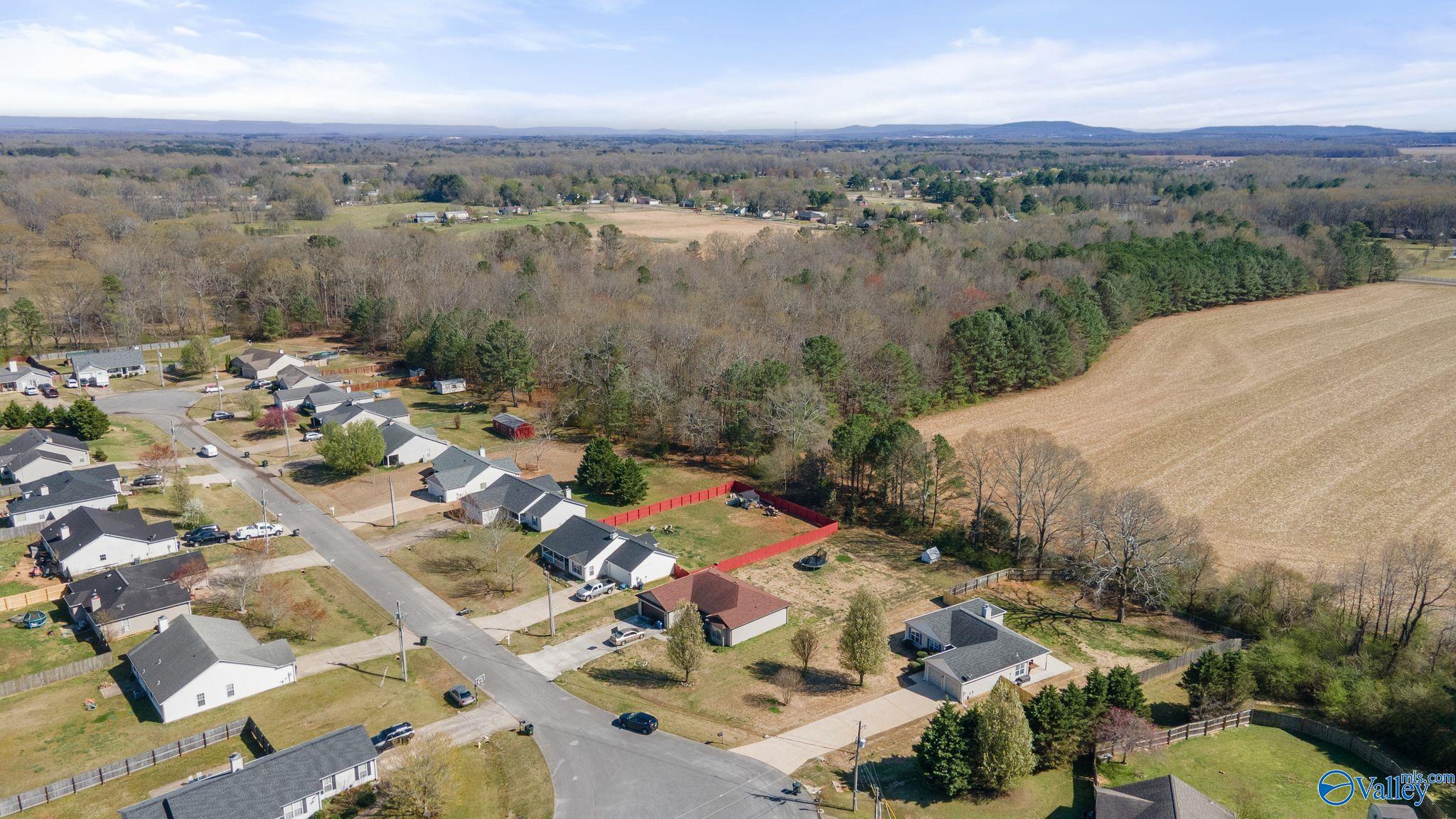149 Fox Haven Lane, Toney, Alabama image 29