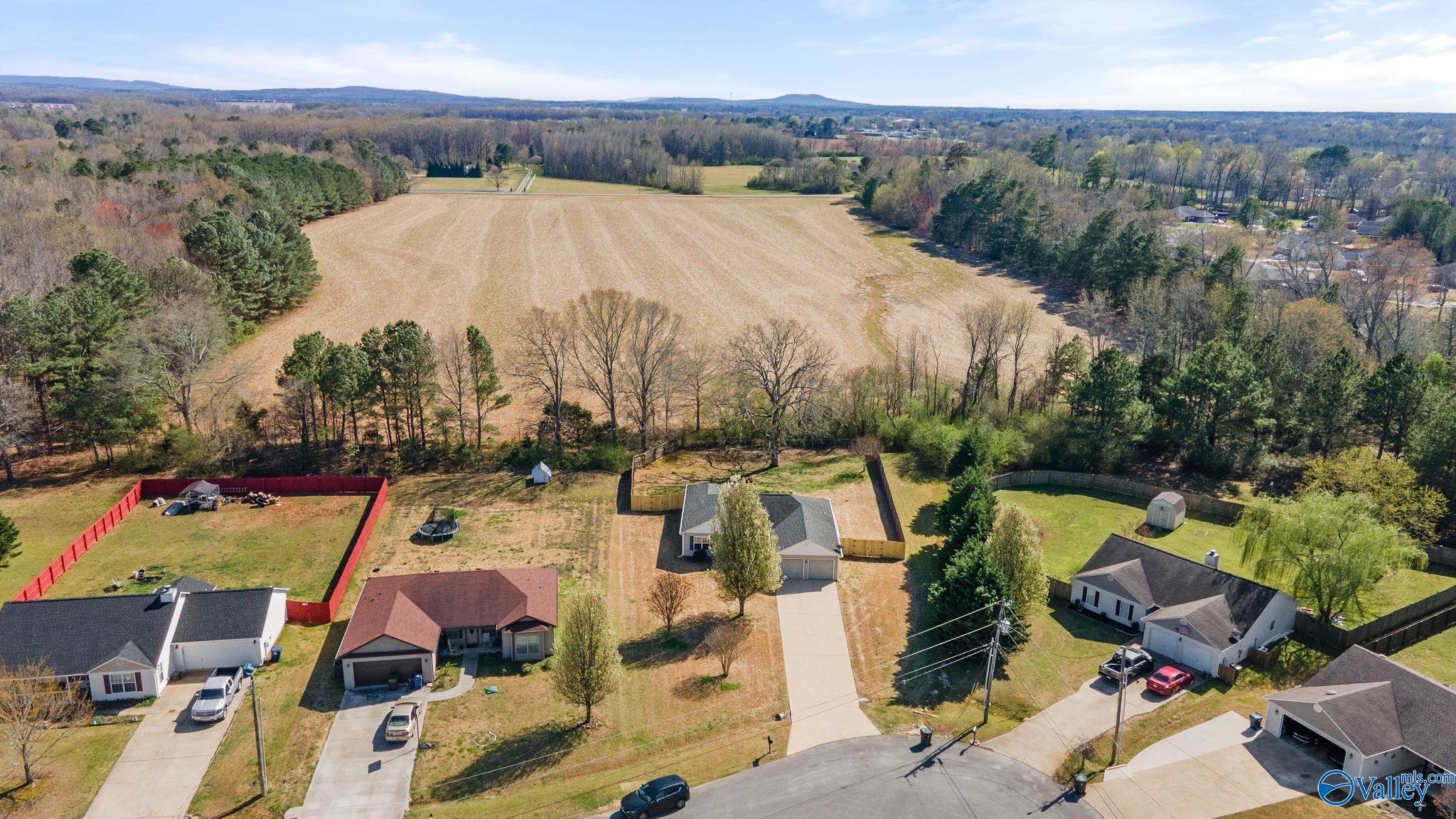 149 Fox Haven Lane, Toney, Alabama image 31