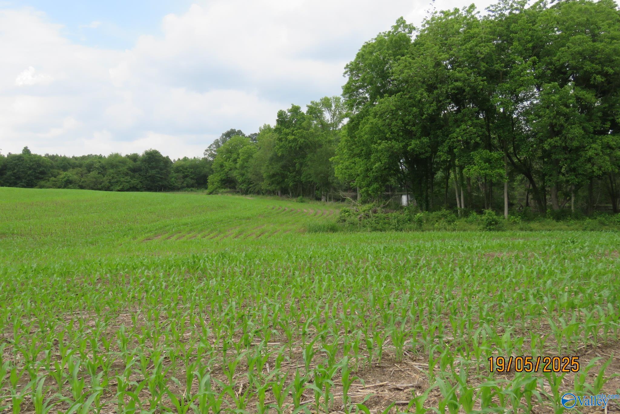 18.56 Hambrick Drive, Boaz, Alabama image 10