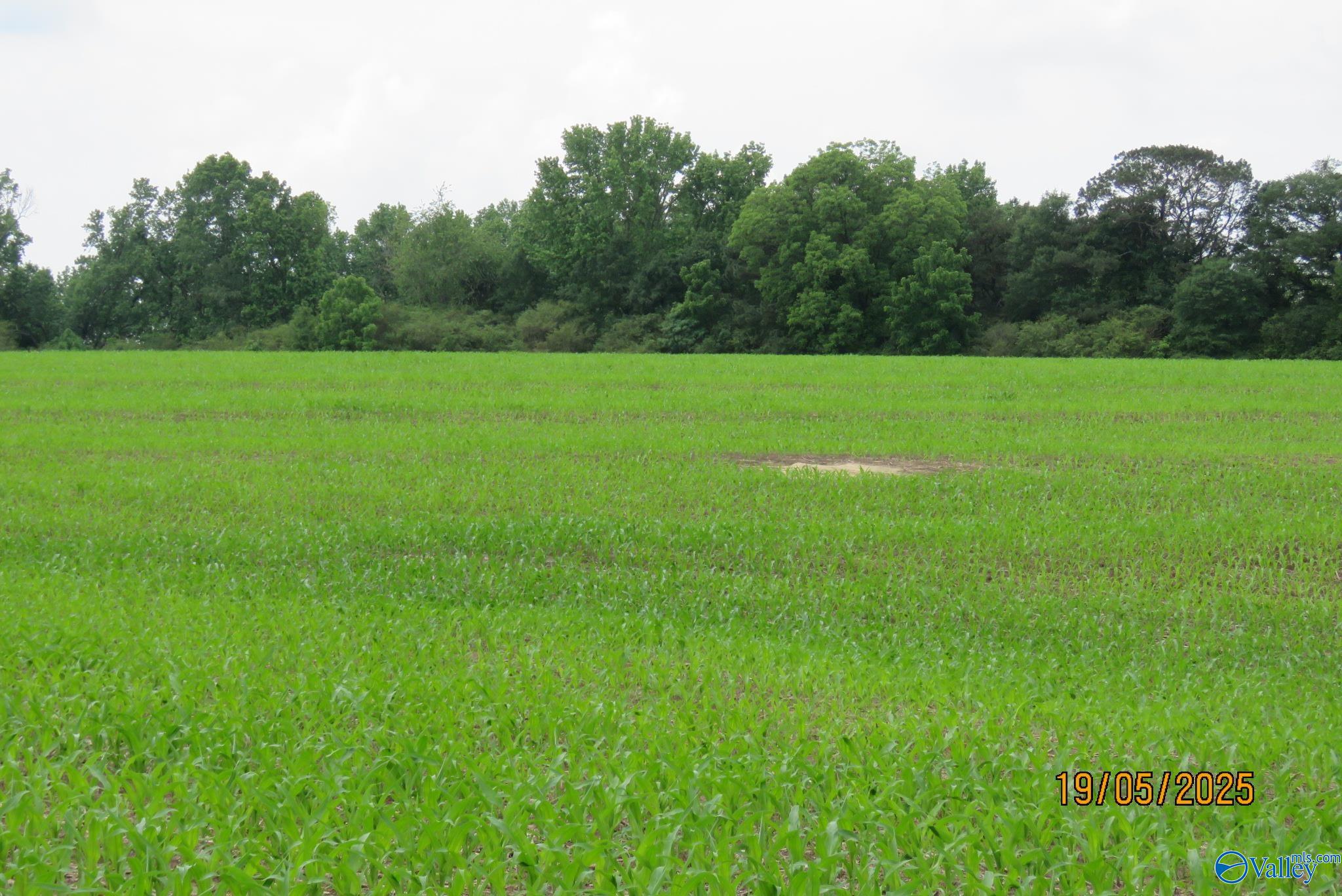 18.56 Hambrick Drive, Boaz, Alabama image 8