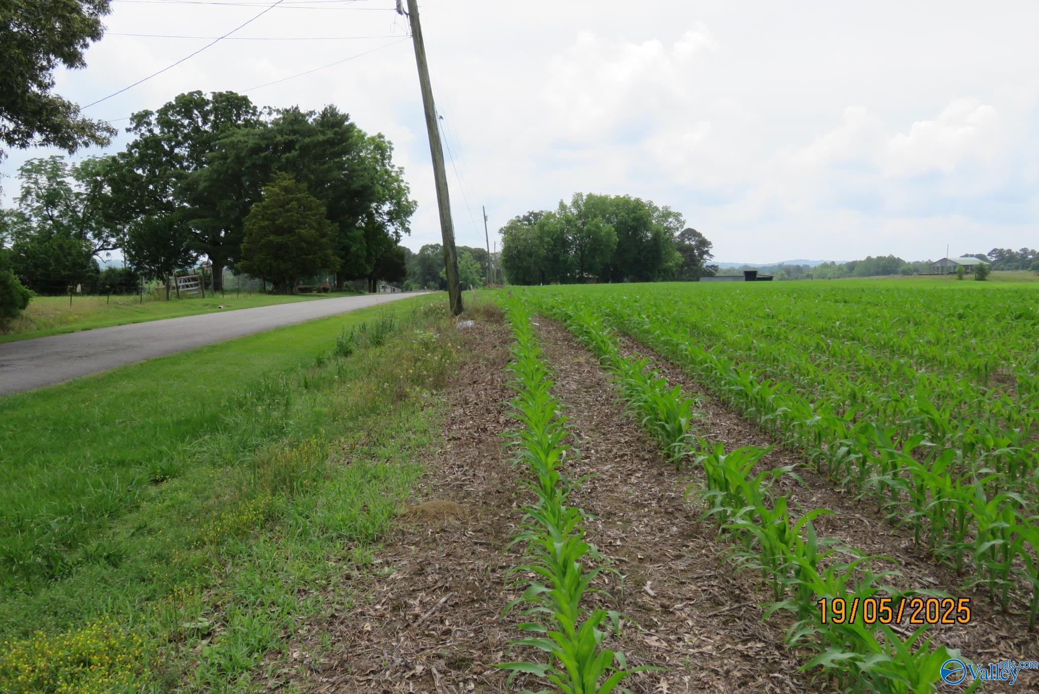 18.56 Hambrick Drive, Boaz, Alabama image 11