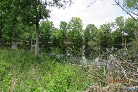 Vacant Land For Sale - 18.56 ACRES New Clear Creek Road<br/> Boaz, AL 35957