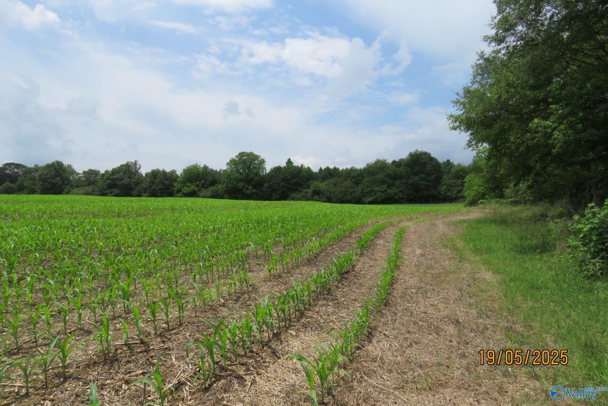 18.56 Hambrick Drive, Boaz, Alabama image 2