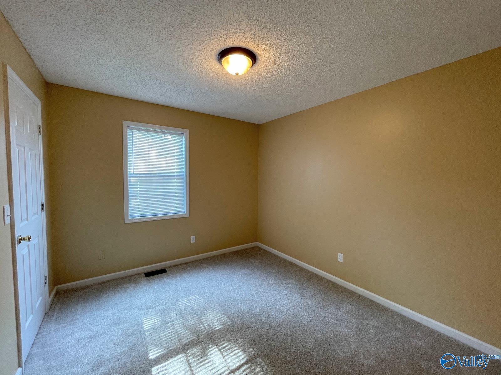 160 Guy Wilson Road, Hazel Green, Alabama image 19