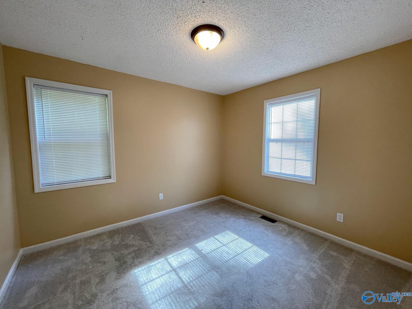 160 Guy Wilson Road, Hazel Green, Alabama image 20