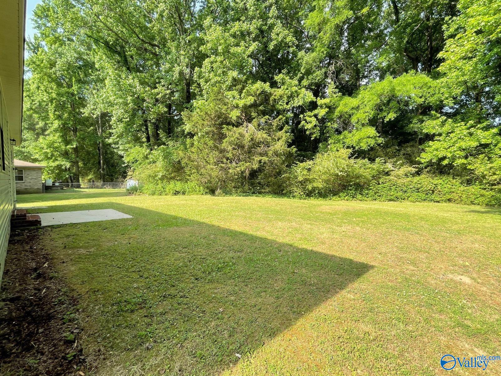 160 Guy Wilson Road, Hazel Green, Alabama image 4