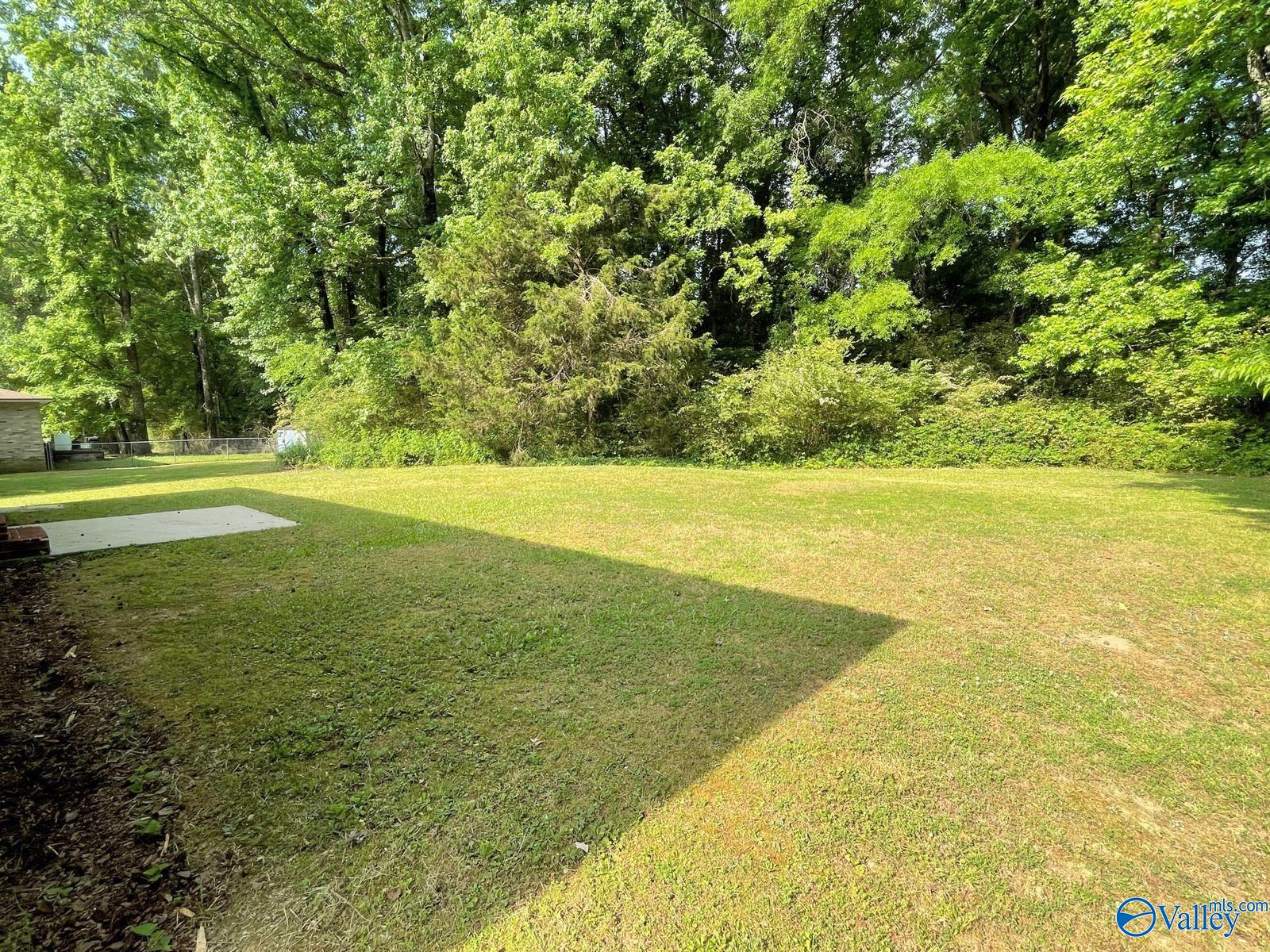 160 Guy Wilson Road, Hazel Green, Alabama image 5