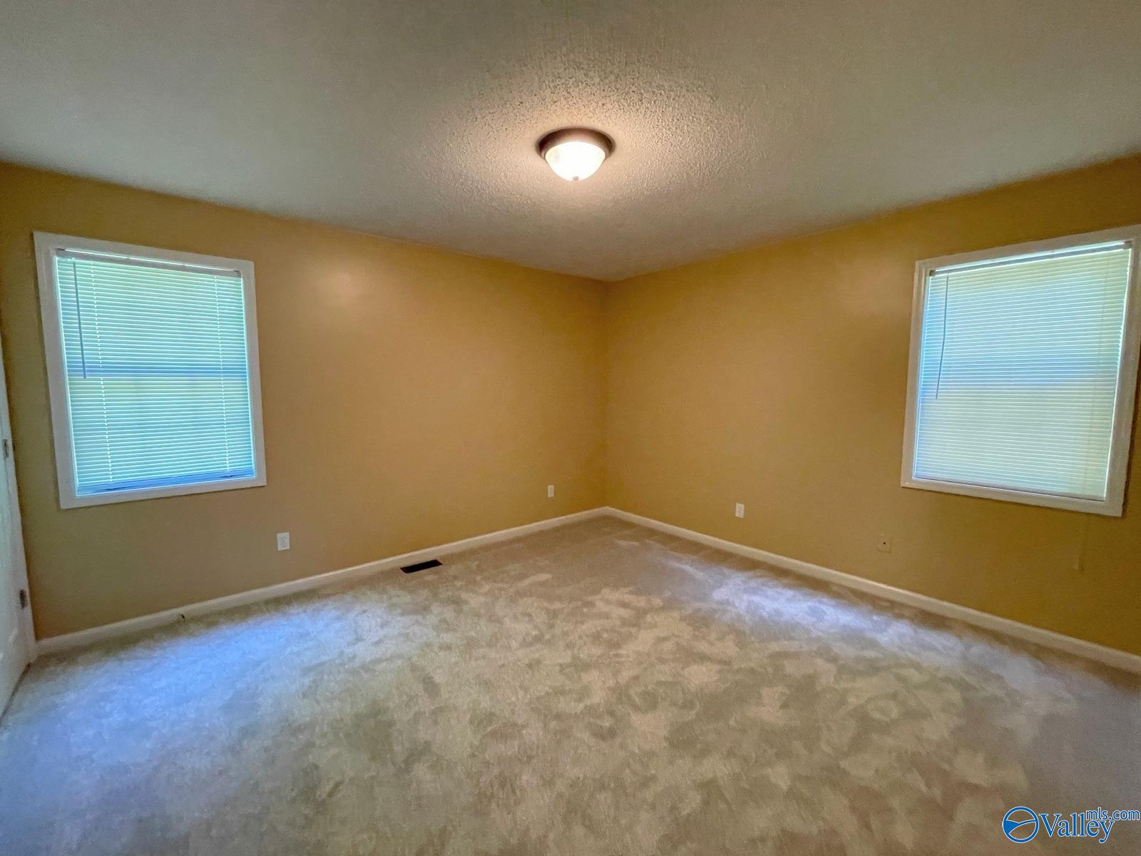 160 Guy Wilson Road, Hazel Green, Alabama image 22