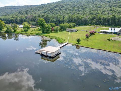 Homes For Sale - 3195 County Road 67<br/> Jackson County, Scottsboro, AL 35768