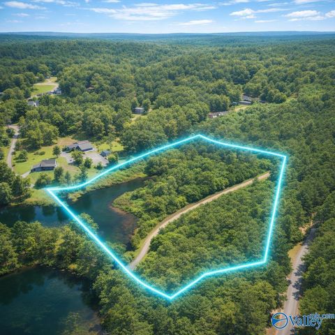 Vacant Land For Sale - 10 ACRES Township Road<br/> Etowah County, Rainbow City, AL 35906