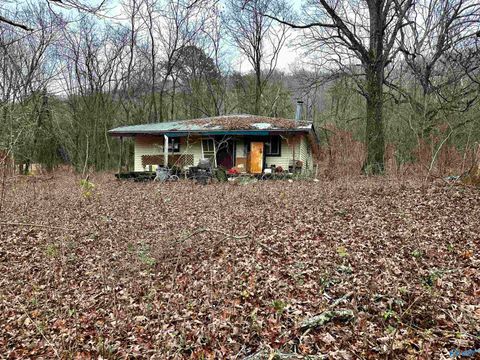Vacant Land For Sale - 114 Carden Street<br/> Valley Head, AL 35989