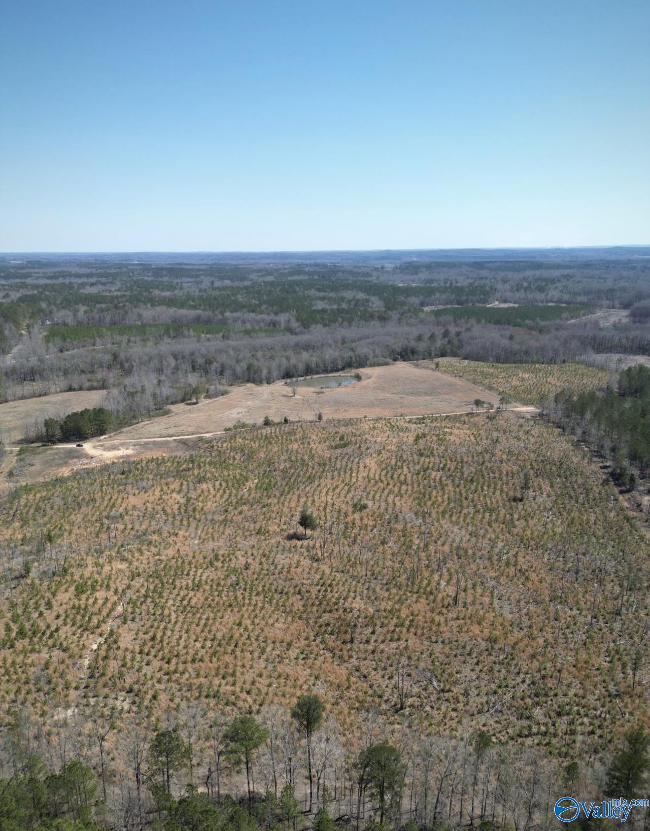 5.17 Acre Lot#5 Kuydendall Road, Winfield, Alabama image 4