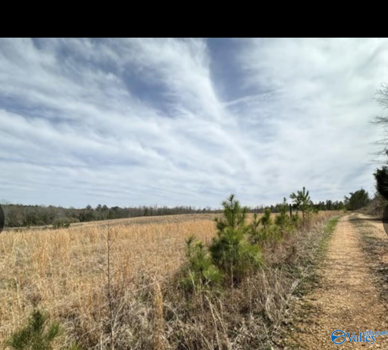 5.17 Acre Lot#5 Kuydendall Road, Winfield, Alabama image 15