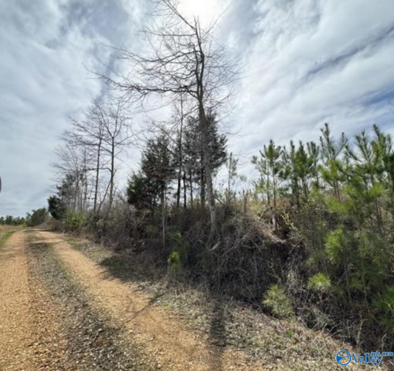 5.17 Acre Lot#5 Kuydendall Road, Winfield, Alabama image 6