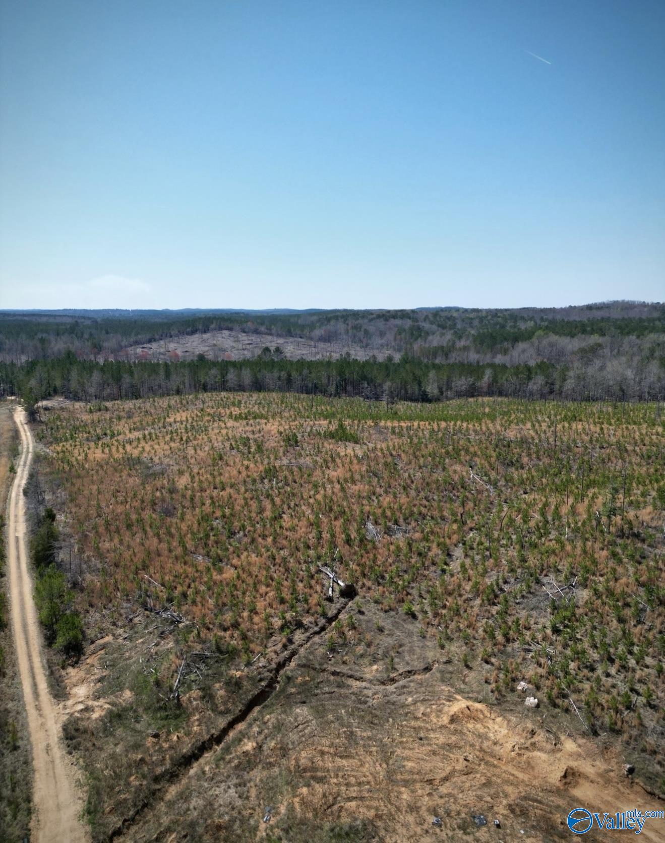 5.17 Acre Lot#5 Kuydendall Road, Winfield, Alabama image 3