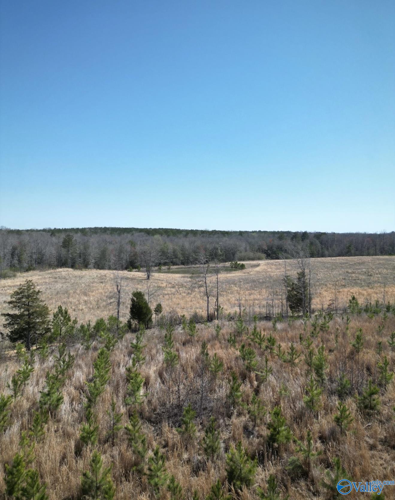 5.17 Acre Lot#5 Kuydendall Road, Winfield, Alabama image 10