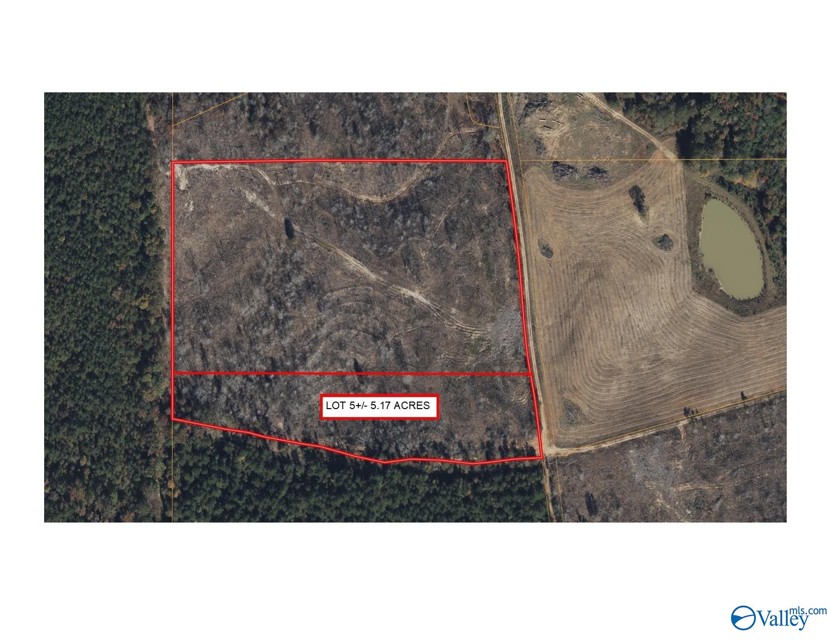 5.17 Acre Lot#5 Kuydendall Road, Winfield, Alabama image 1