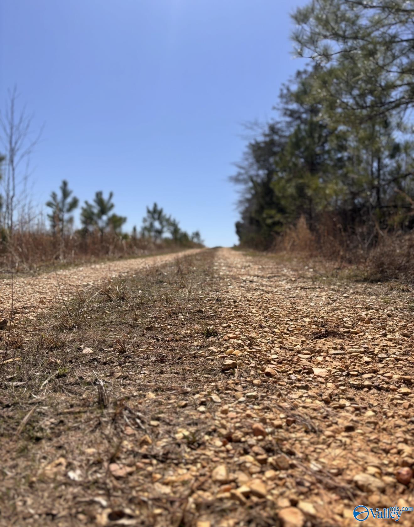 5.17 Acre Lot#5 Kuydendall Road, Winfield, Alabama image 11