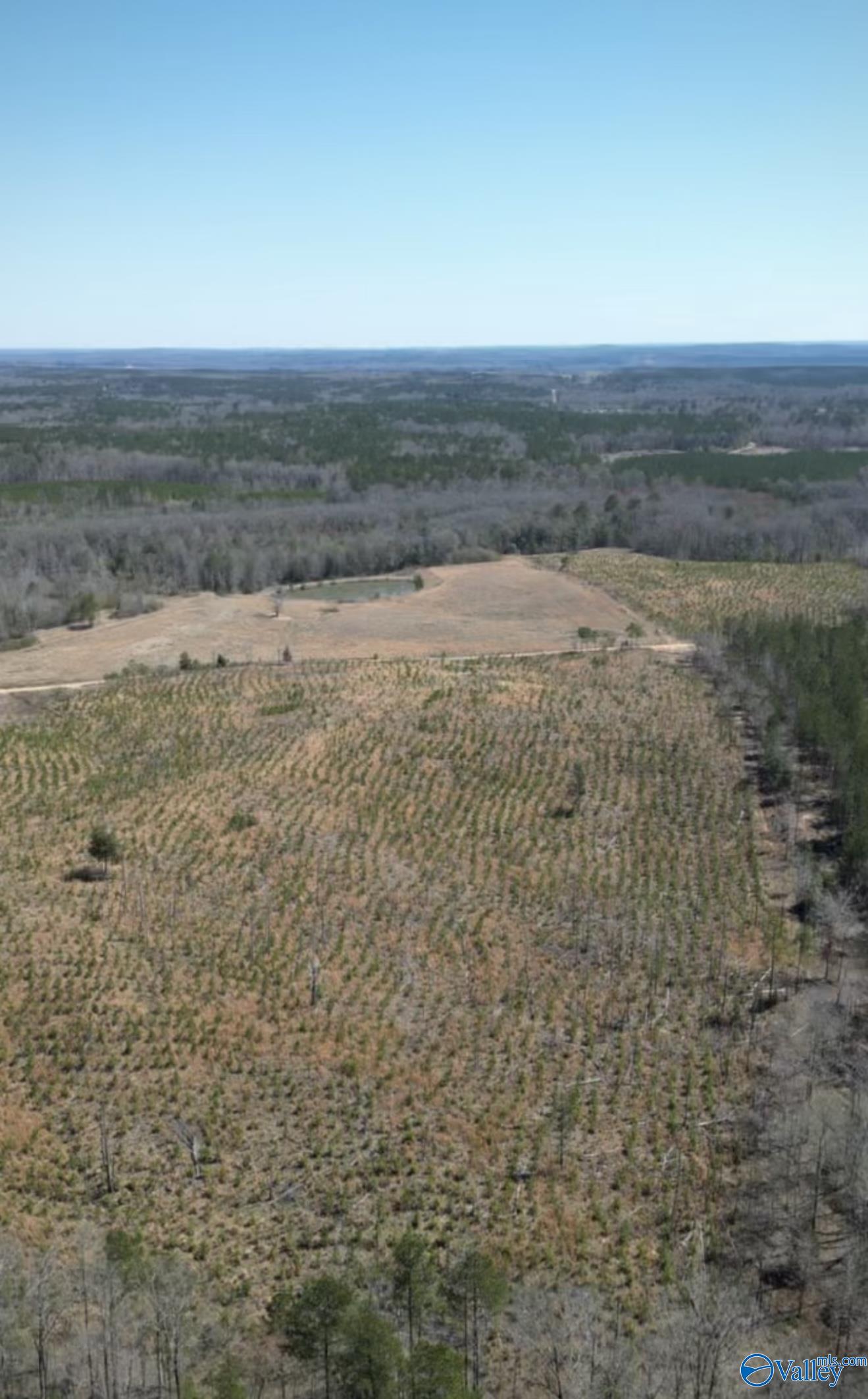 5.17 Acre Lot#5 Kuydendall Road, Winfield, Alabama image 5