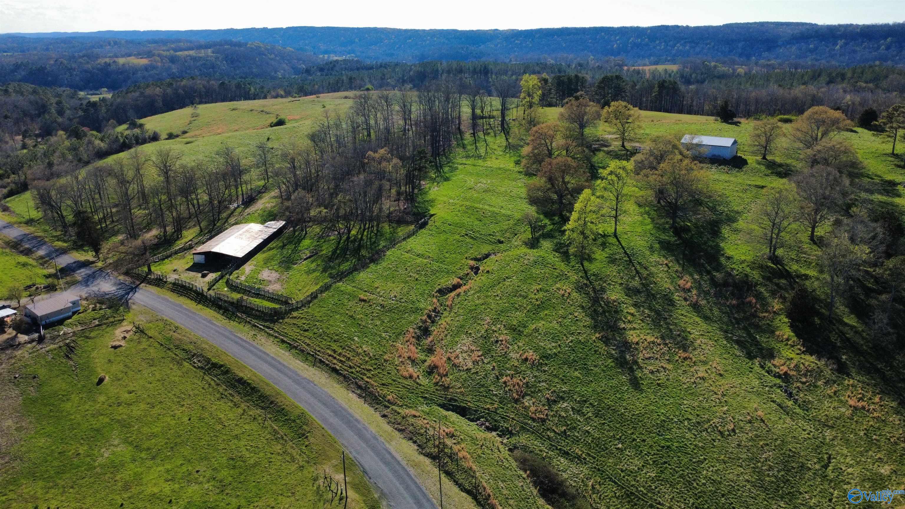 997 County Road 86, Collinsville, Alabama image 1
