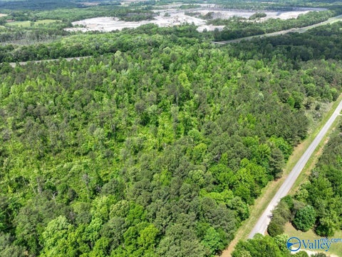 Vacant Land For Sale - LOT 4 Mill Creek Road<br/> Falkville, AL 35622