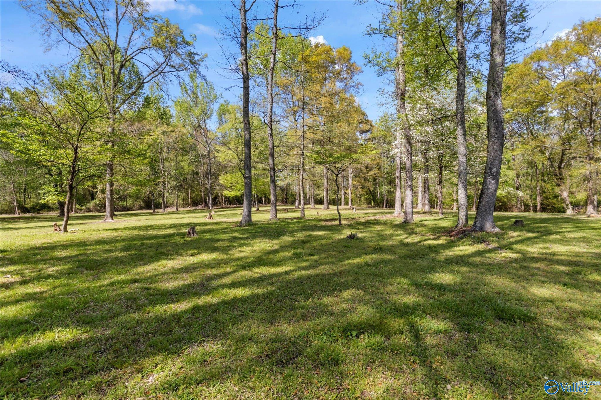 79 Denson Avenue, Boaz, Alabama image 9