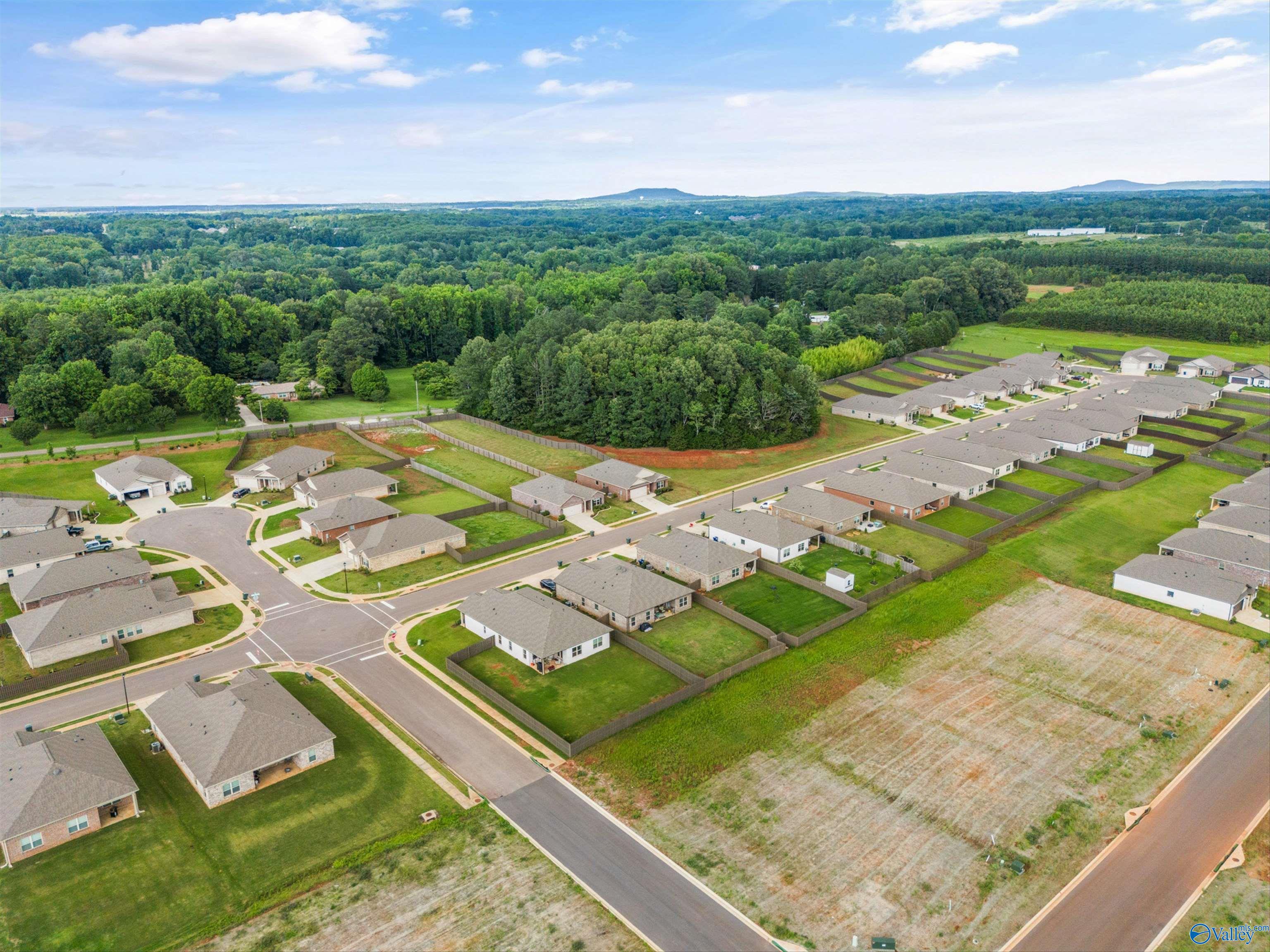 13348 Golden Hay Circle, Madison, Alabama image 42