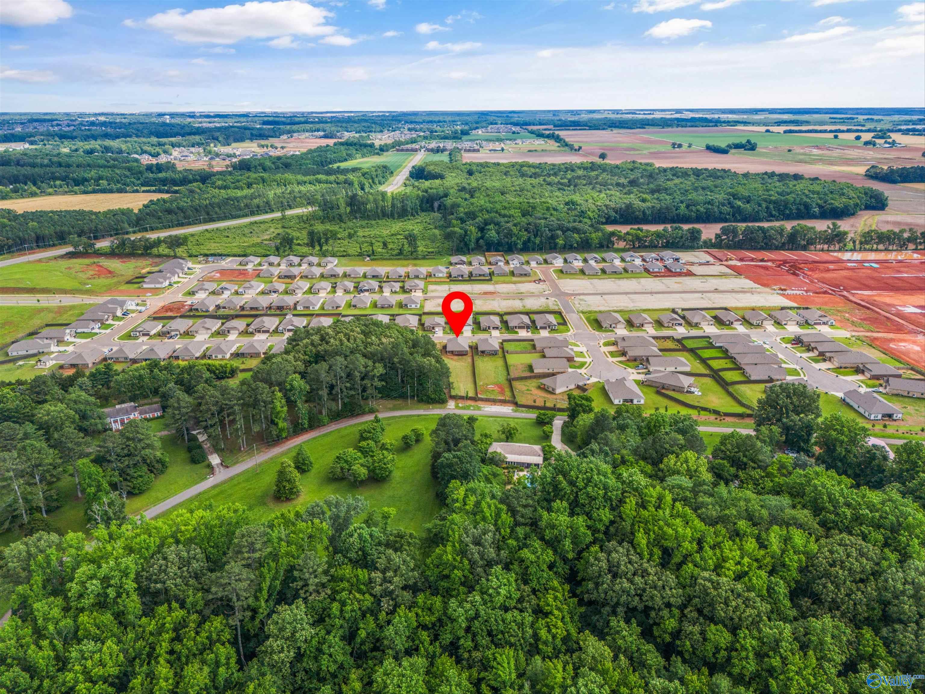 13348 Golden Hay Circle, Madison, Alabama image 47