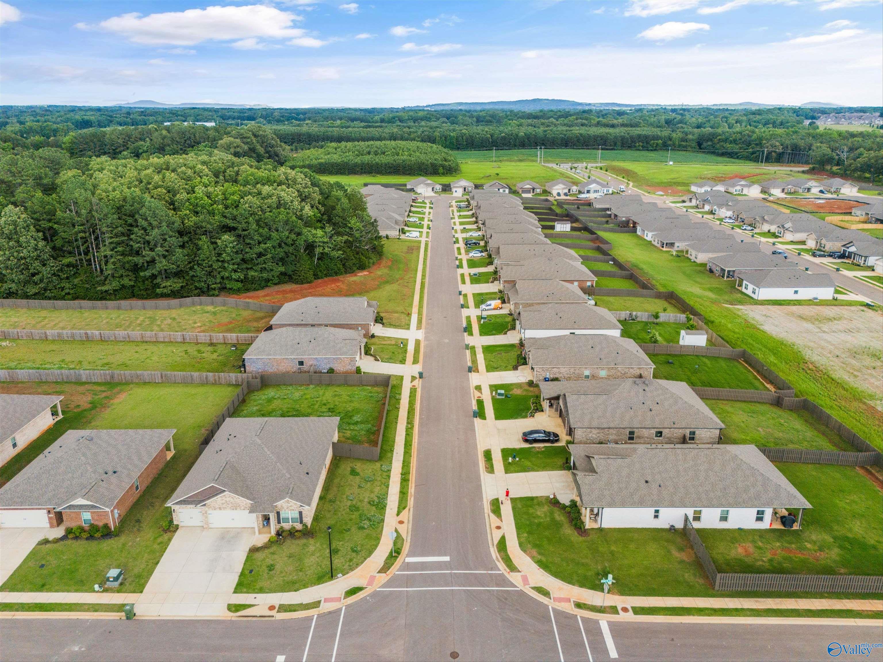 13348 Golden Hay Circle, Madison, Alabama image 38
