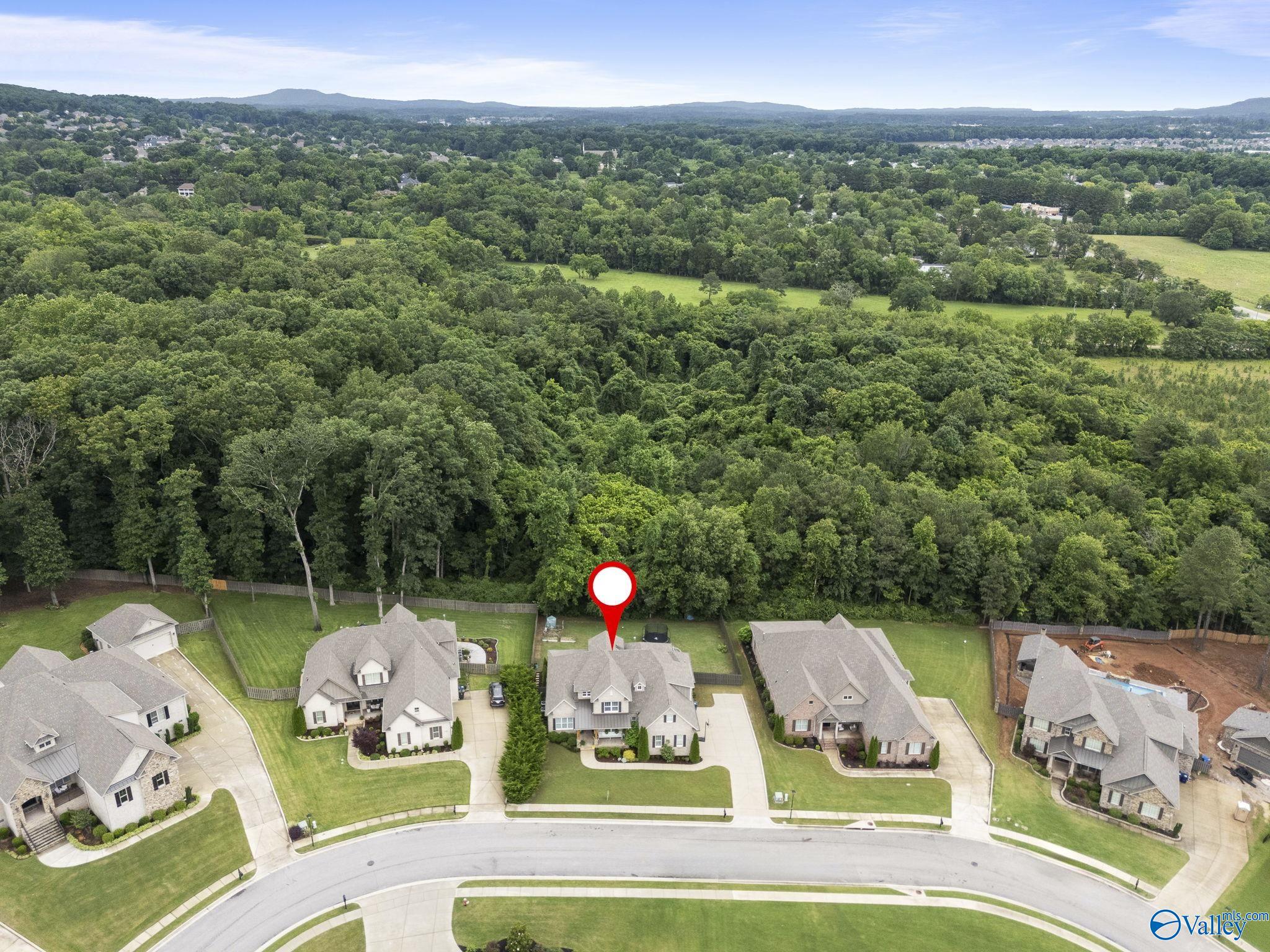 117 Hickory Gap Trail, Madison, Alabama image 45